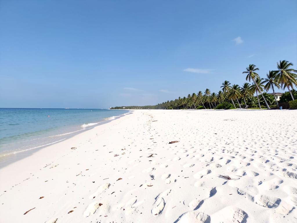 Praia larga de areia branca com coqueiros no litoral norte